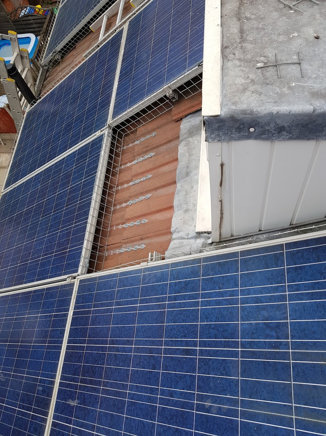 solar panels after bird proofing
