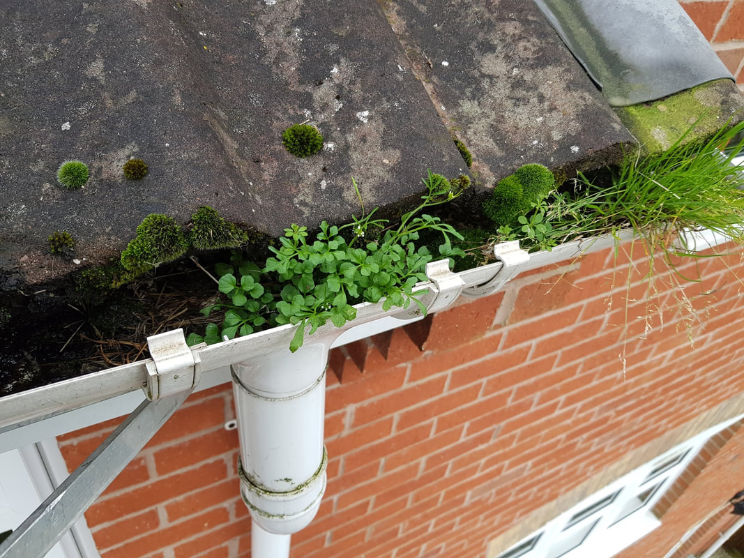 blocked guttering before removal