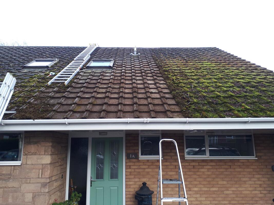 Moss growing on a bungalow roof in Nottingham