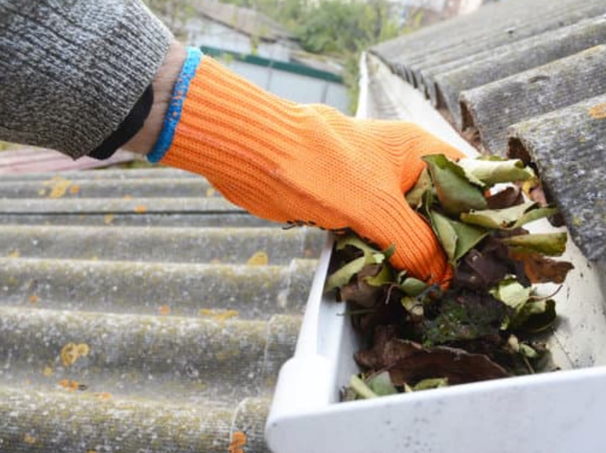 Driveway cleaning and moss removal in Mansfield, Nottinghamshire