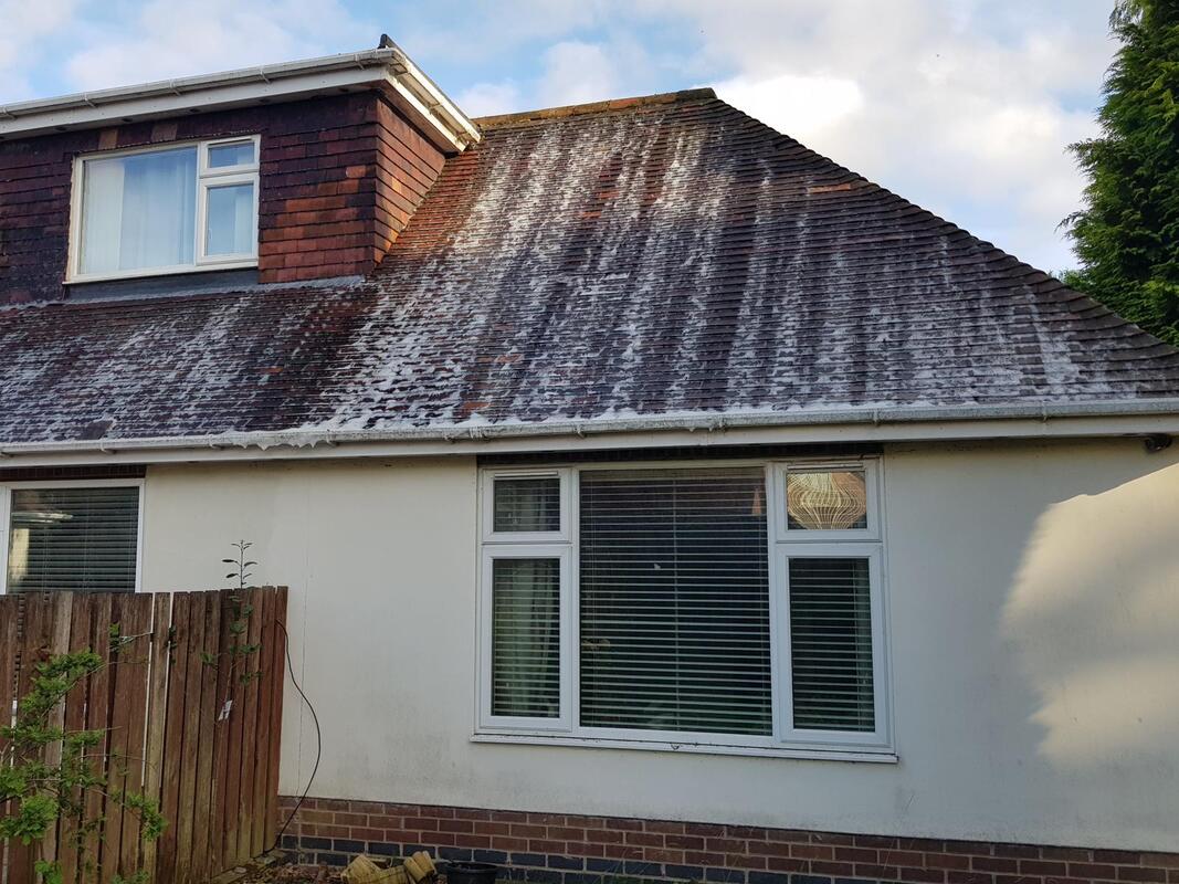 Bungalow roof ready for professional cleaning in Nottingham