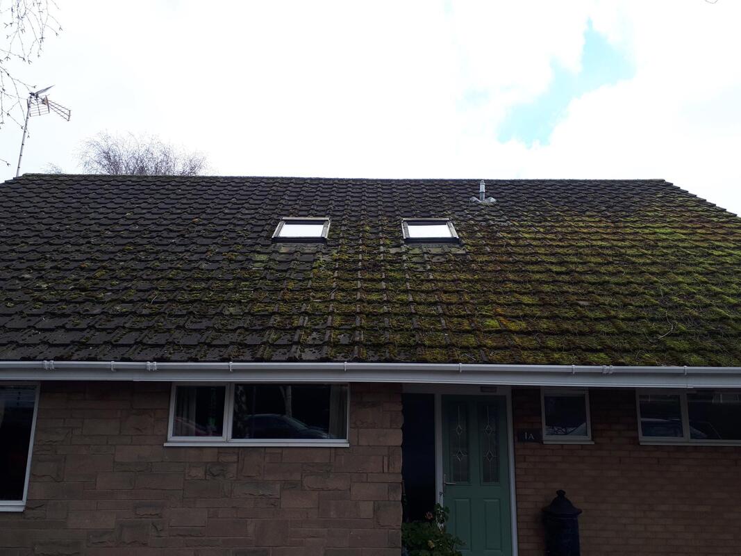 Roof Cleaning Tips for Homeowners