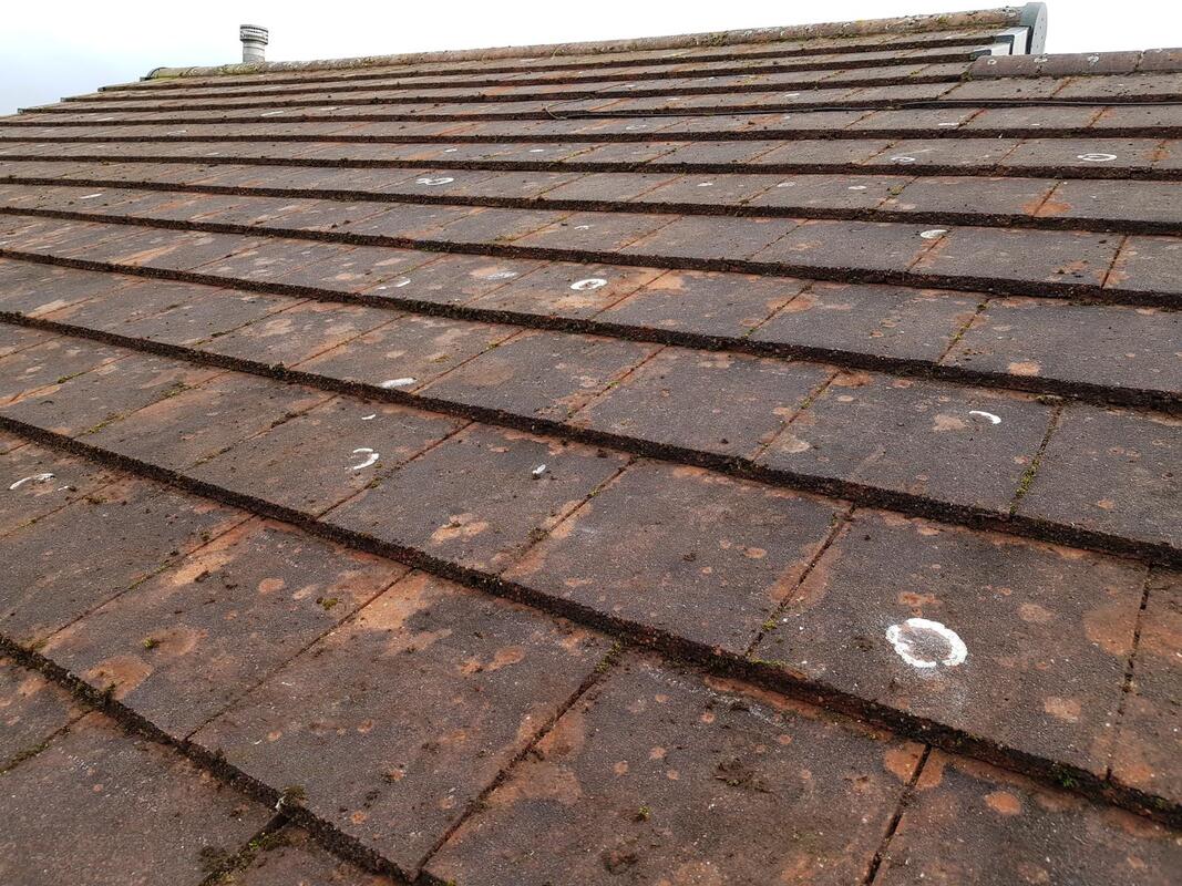 Roof Cleaning to Remove Black Streaks
