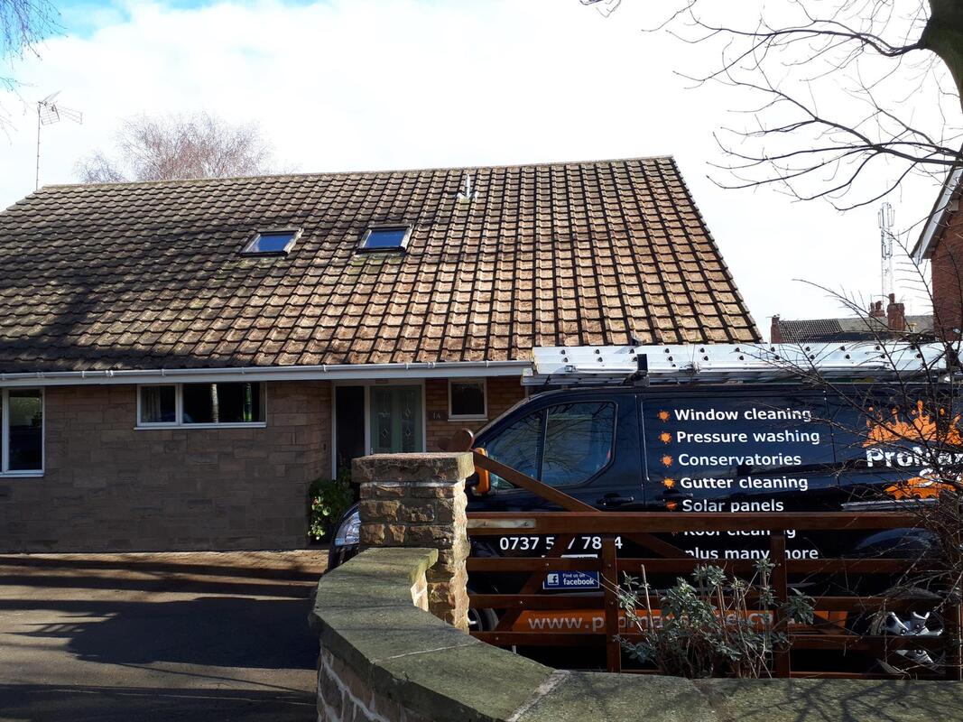 Roof Cleaning to Remove Lichen On Your Roof