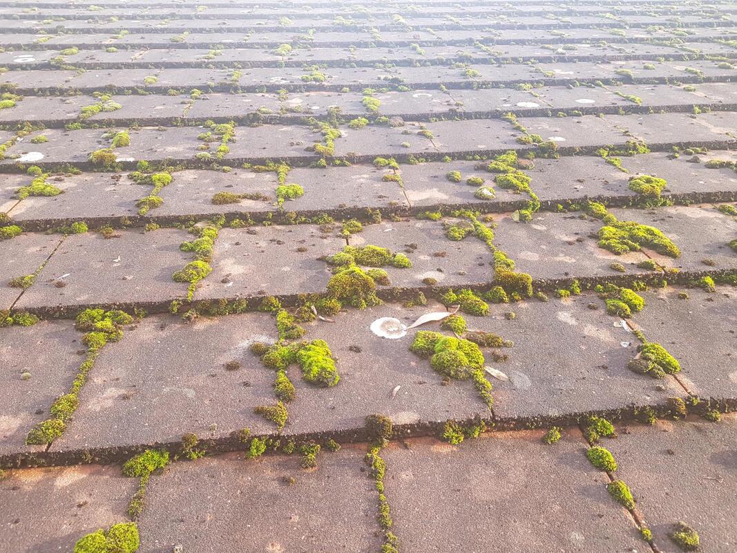 Safe Roof Cleaning Methods for Old Roofs