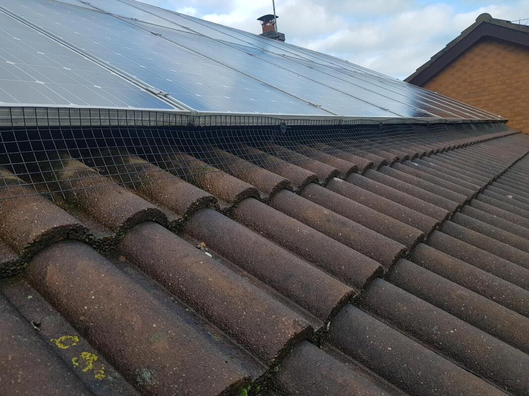 Roof cleaning before installing solar panels