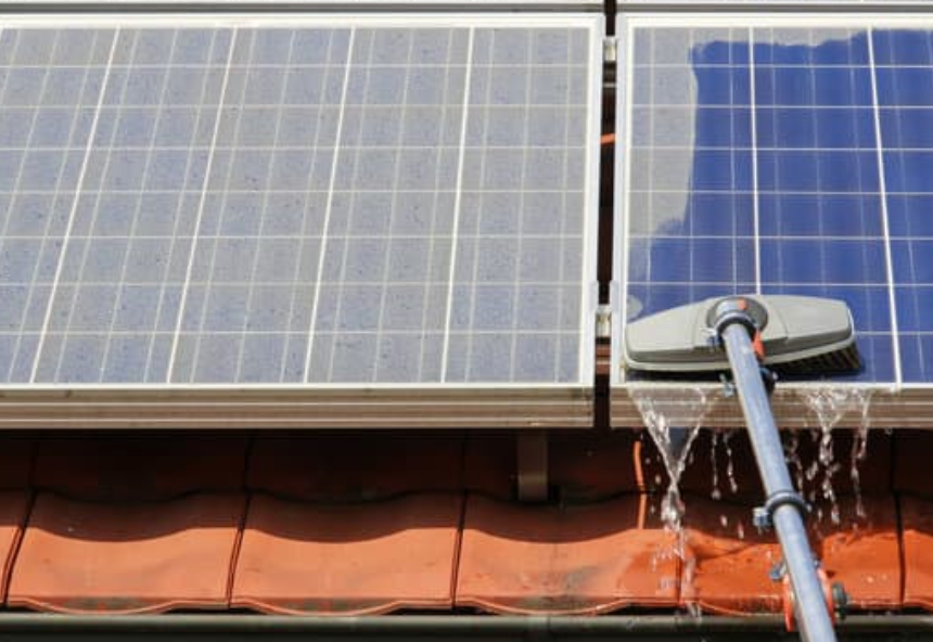 Bird proofing solar panels