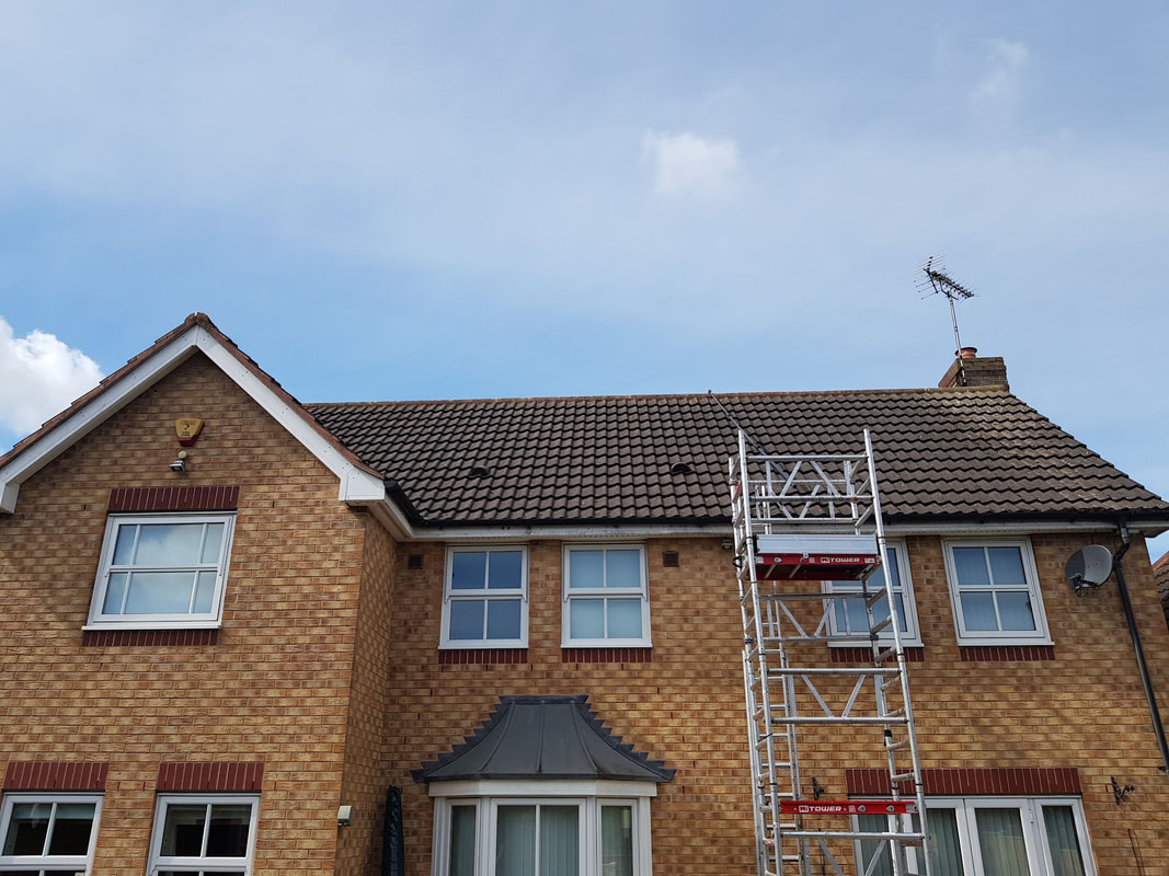 roof surface before cleaning process