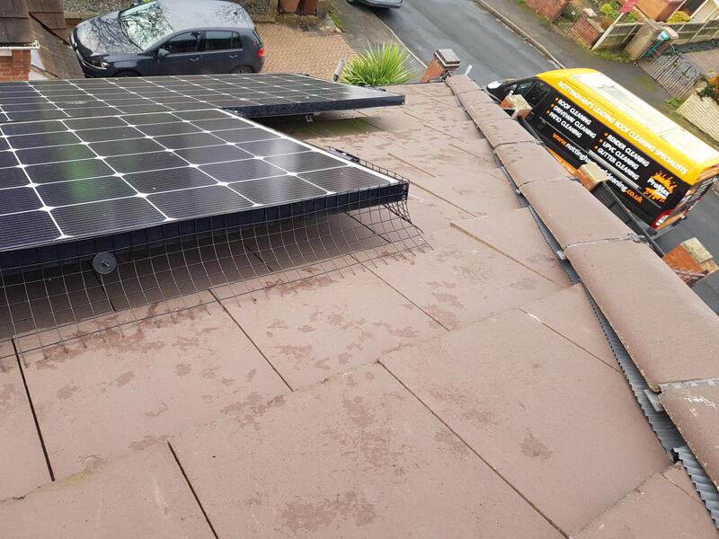 Solar panels fitted with bird proofing mesh