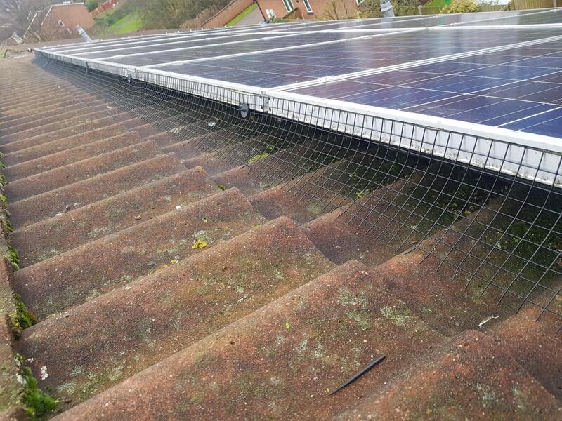 Wire mesh installed under solar panels to stop bird nesting